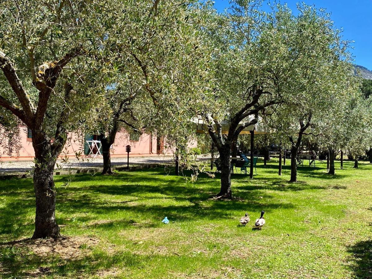 Residence Terme Isola D'Elba Srl Portoferraio Exteriér fotografie