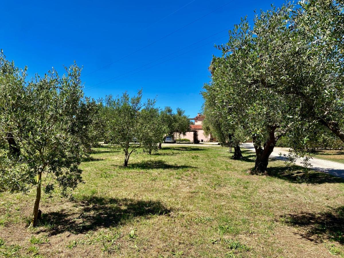 Residence Terme Isola D'Elba Srl Portoferraio Exteriér fotografie